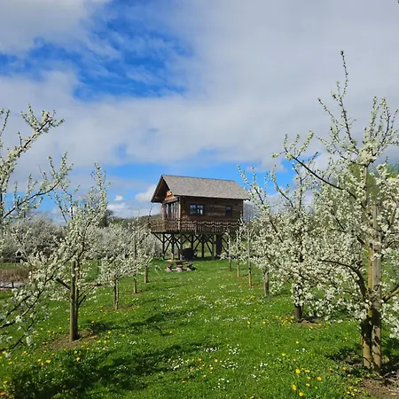 Baumhaus Heuhuette * Salem (Baden-Wurttemberg)