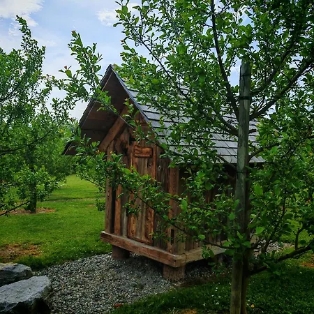 Baumhaus Heuhuette Daire Salem (Baden-Wurttemberg)