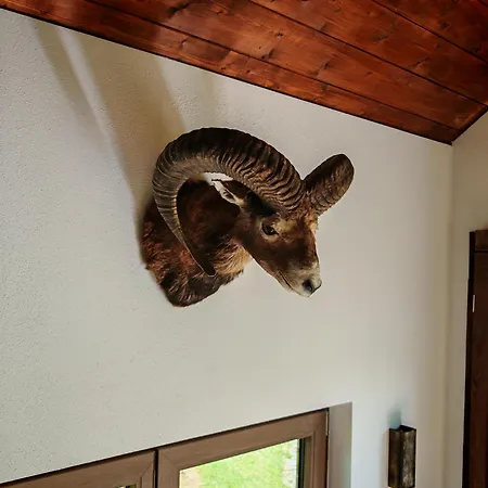 Baumhaus Heuhuette * Salem (Baden-Wurttemberg)