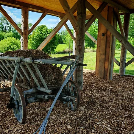 Baumhaus Heuhuette Daire Salem (Baden-Wurttemberg)