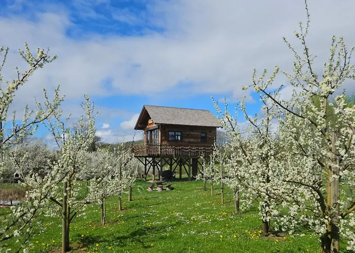Baumhaus Heuhuette * Salem (Baden-Wurttemberg)