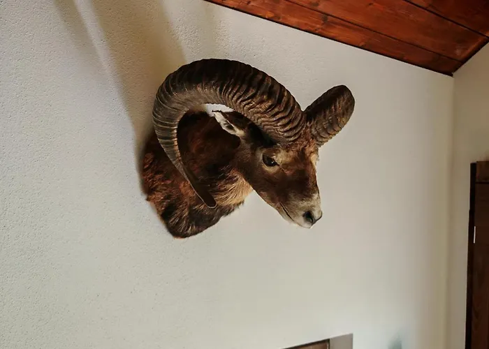 Baumhaus Heuhuette * Salem